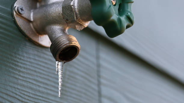 Best Plumbing Services Near Me  in Chevy Chase View, MD